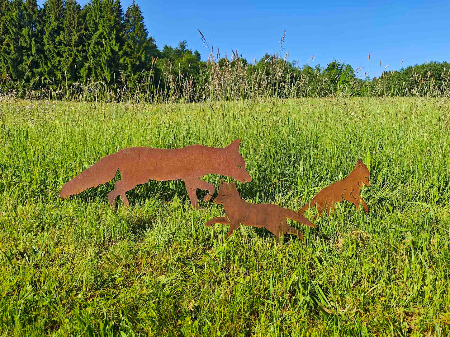 FUCHSFAMILIE