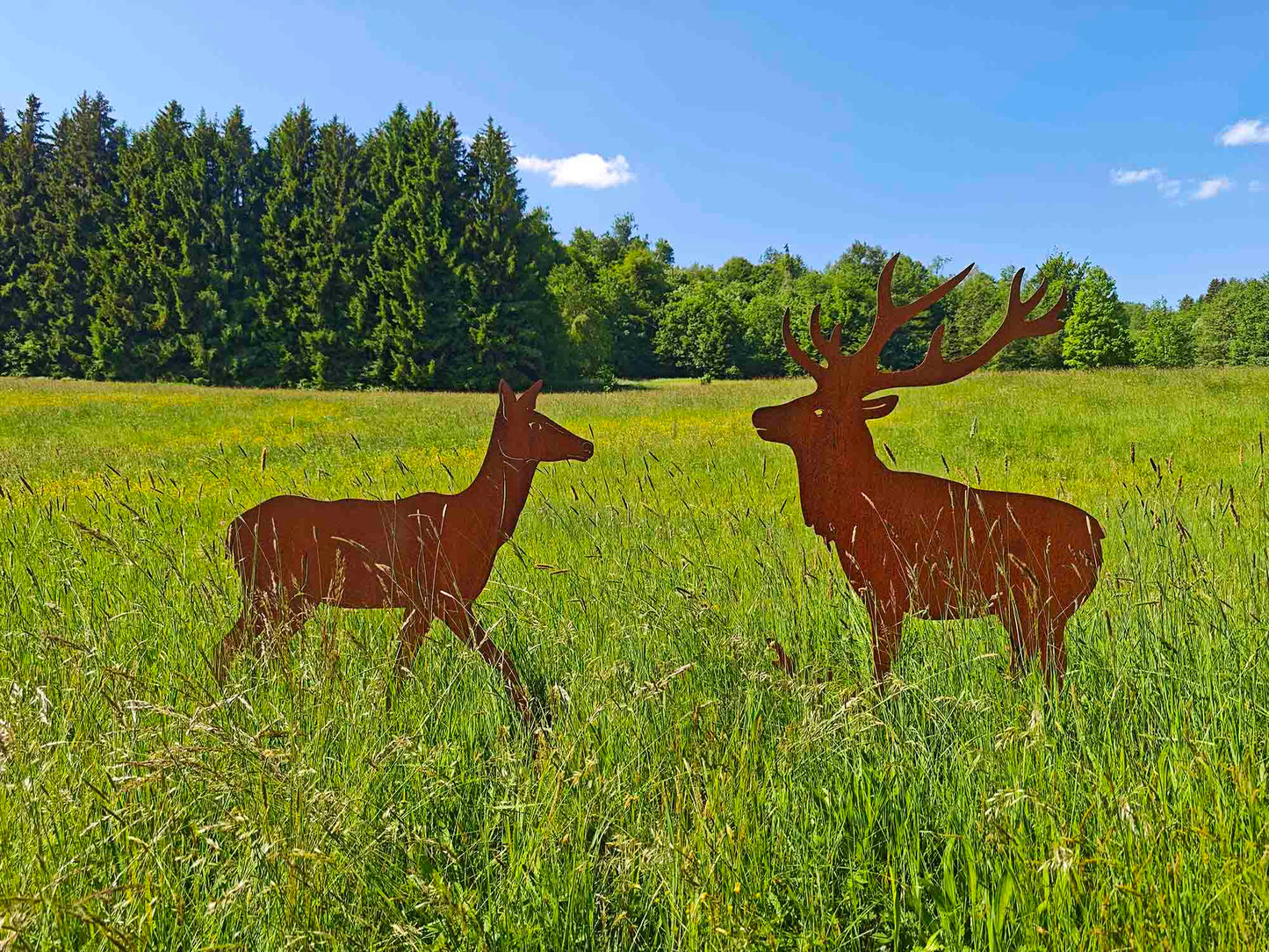 HIRSCH & HIRSCHKUH