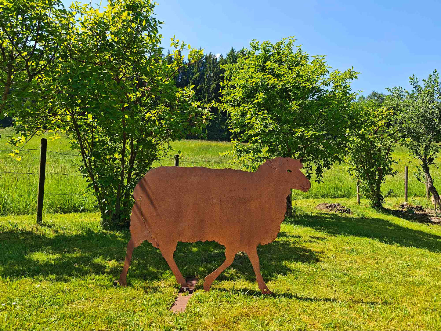 SCHAF ANNERL