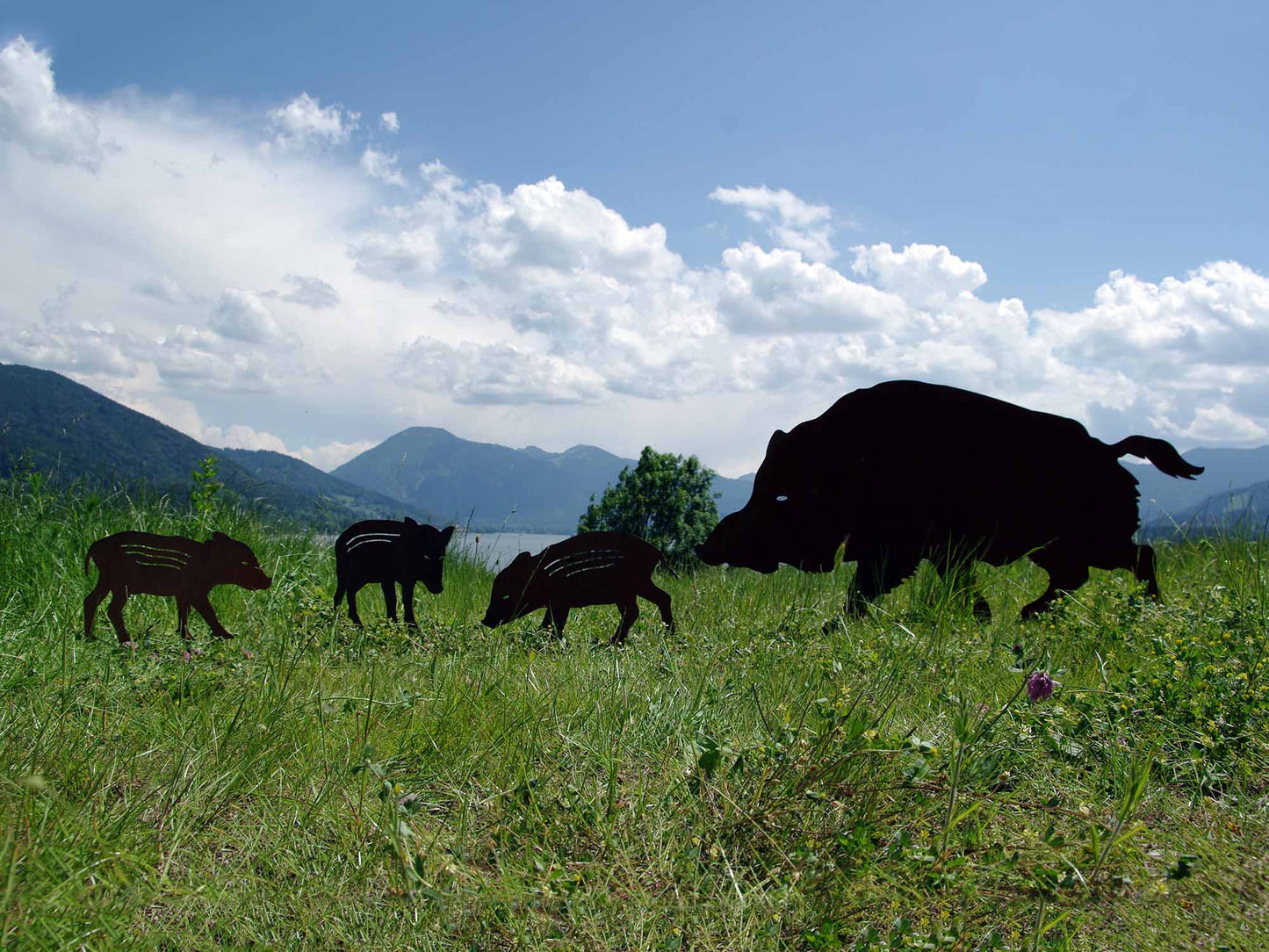 SAU MIT NACHWUCHS