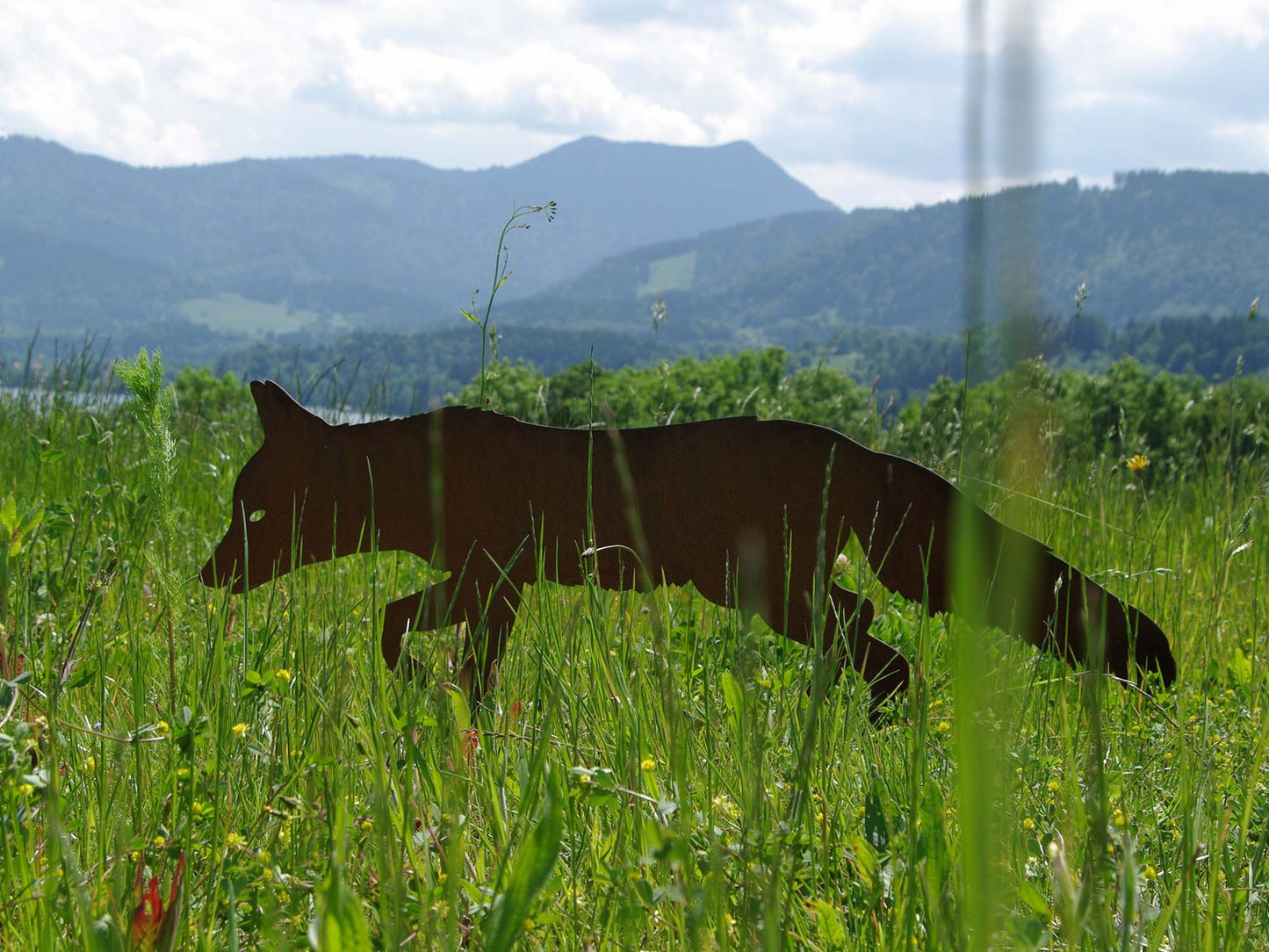 FUCHS FERDI