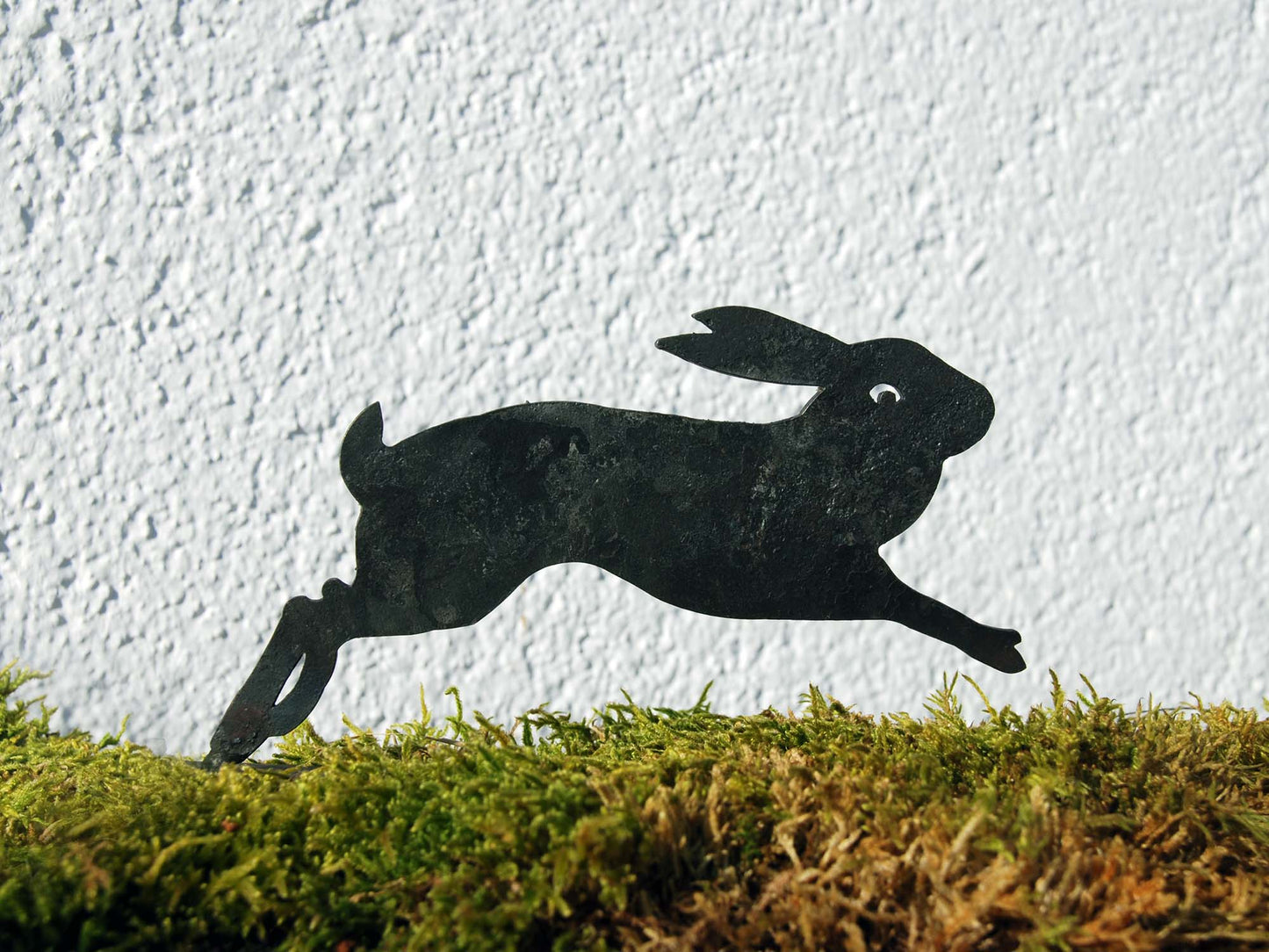 HASE