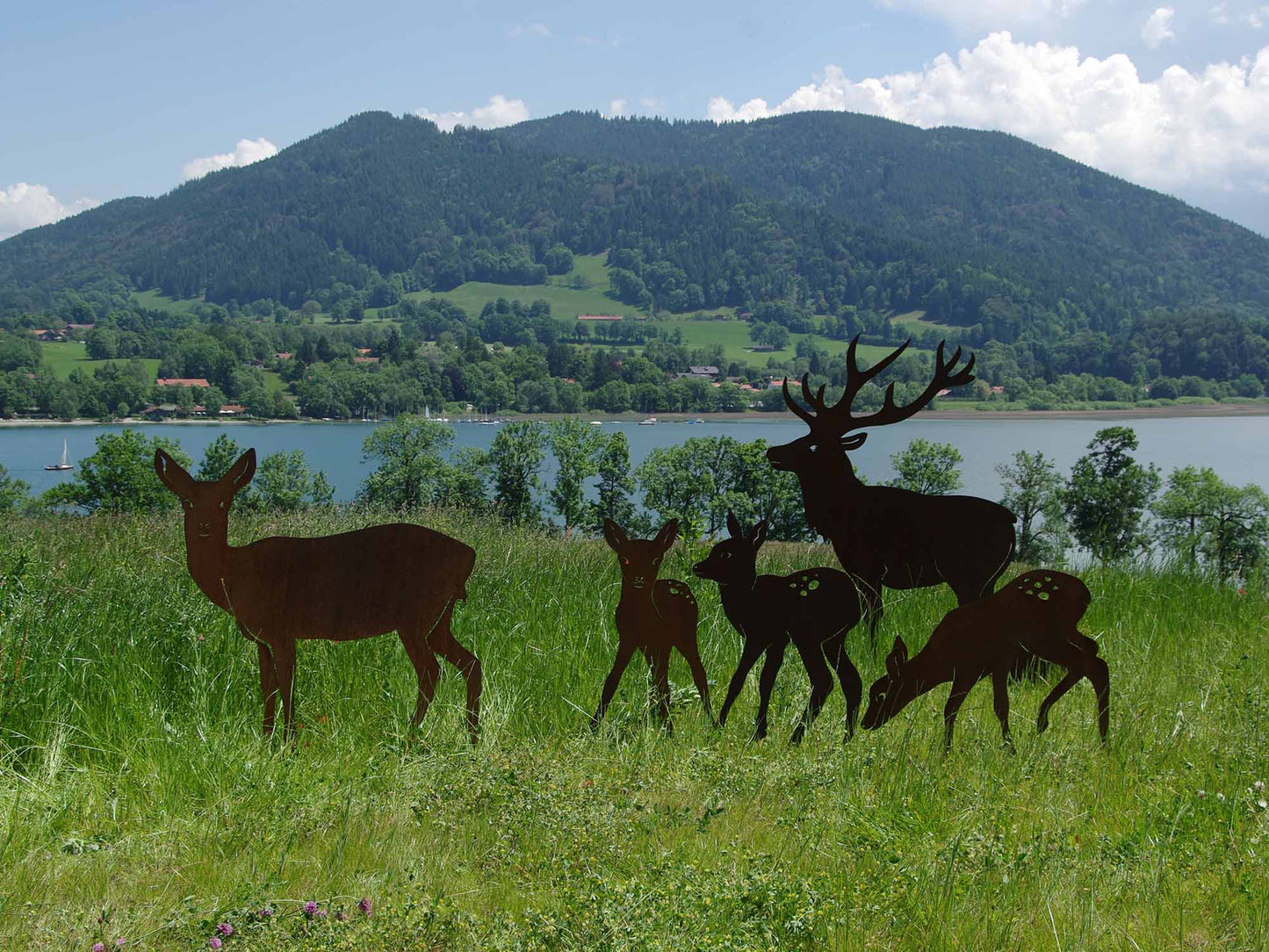 HIRSCHFAMILIE