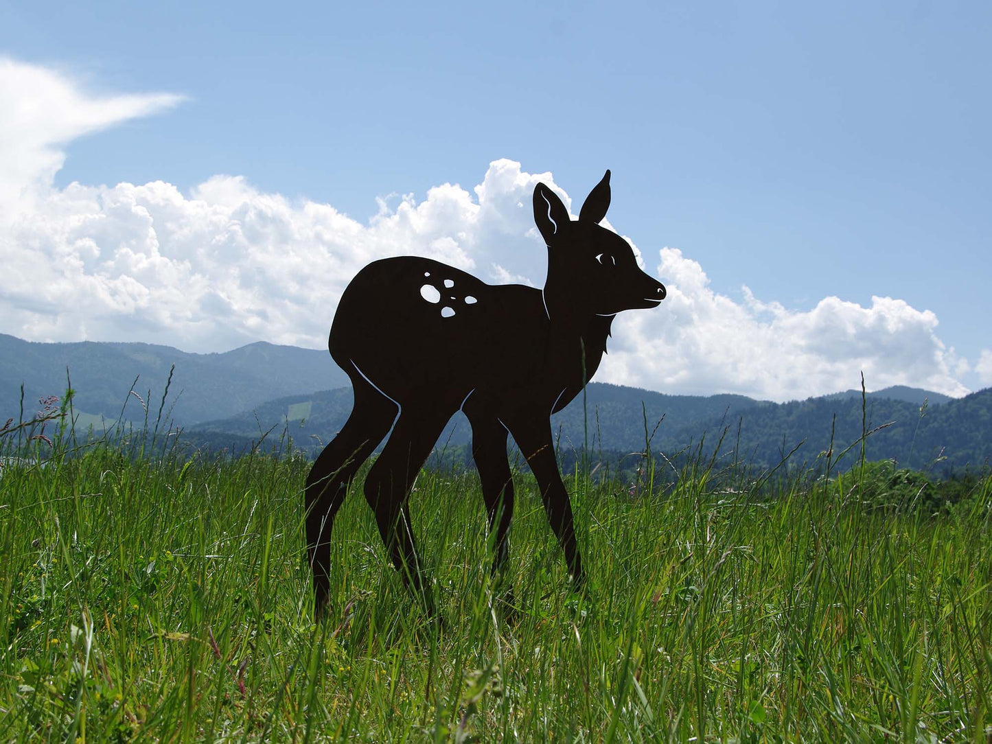 HIRSCHKALB ANTONIA