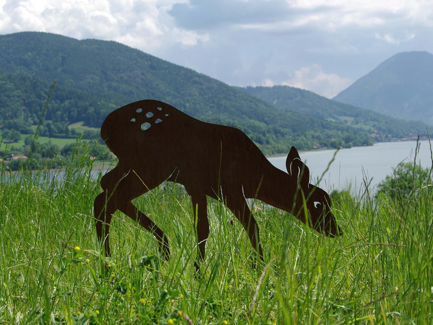 HIRSCHKALB MAGDALENA
