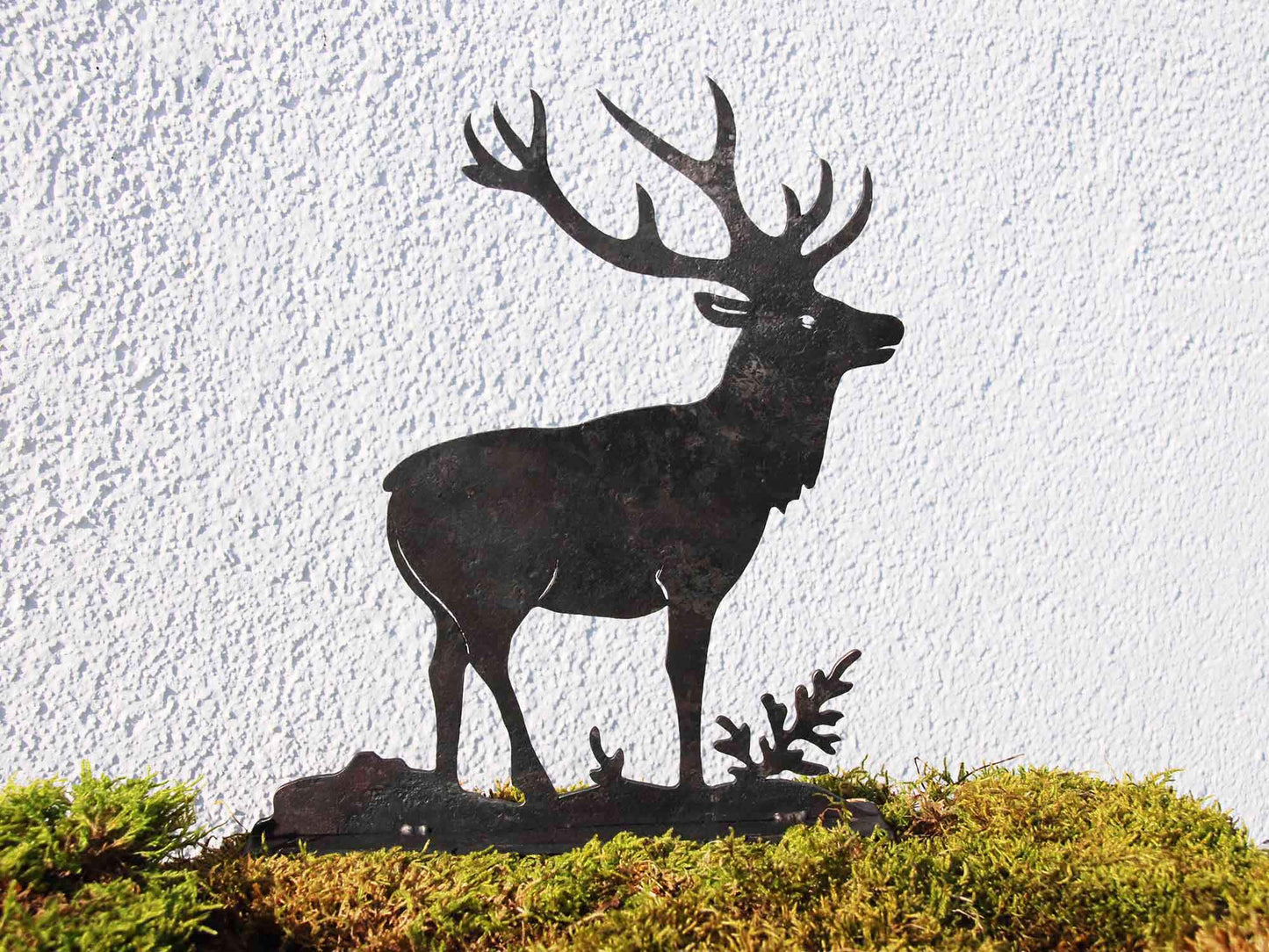HIRSCH