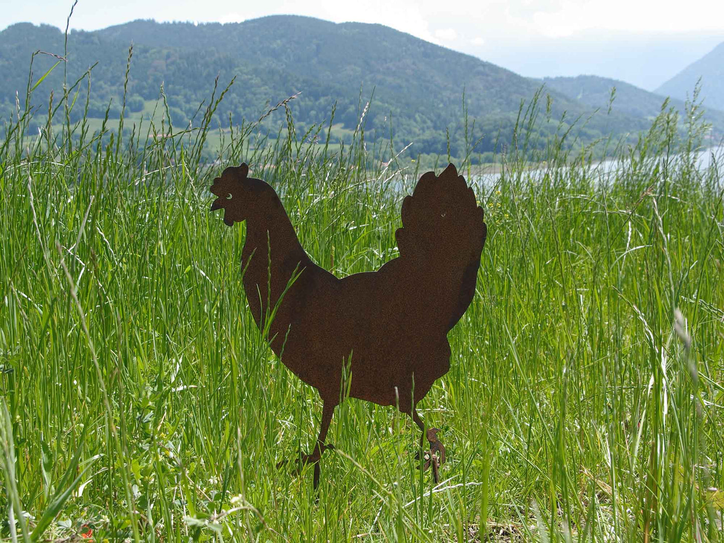 HUHN ZENS