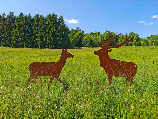 HIRSCH & HIRSCHKUH