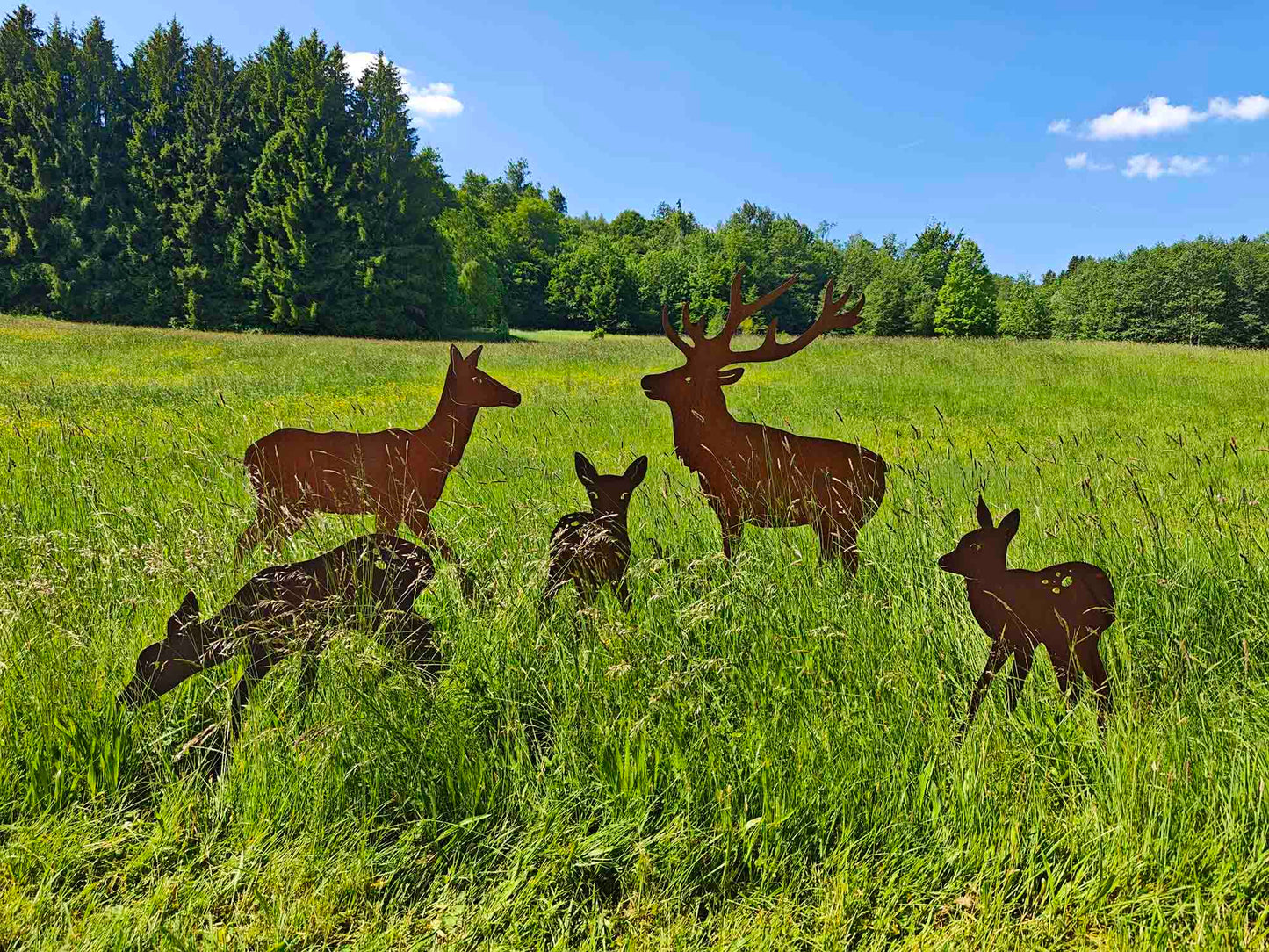 HIRSCHFAMILIE