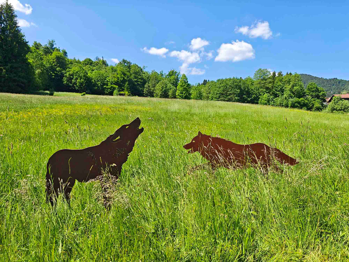 WOLFSRUDEL